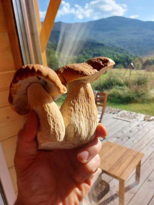 Panorama Sucha Gora ,Lesny Domek Skawica  Exterior foto
